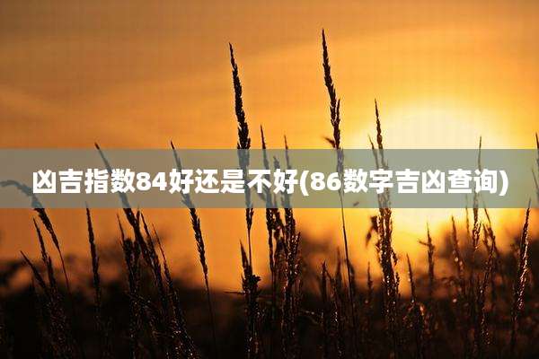 凶吉指数84好还是不好(86数字吉凶查询)