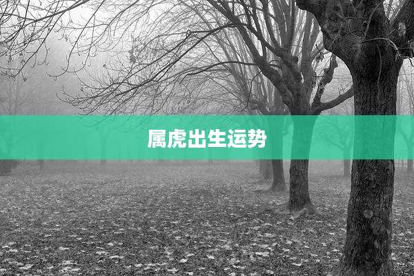 属虎出生运势