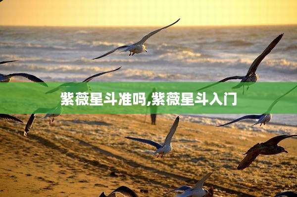 紫薇星斗准吗,紫薇星斗入门