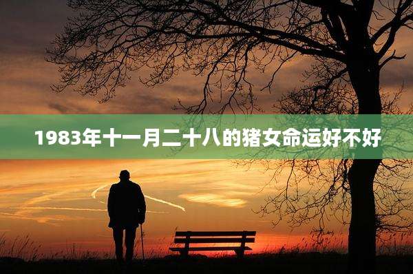 1983年十一月二十八的猪女命运好不好