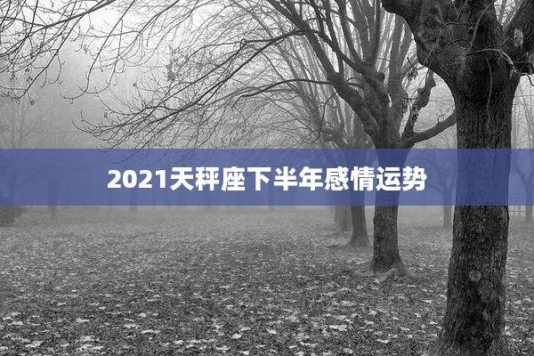 2021天秤座下半年感情运势