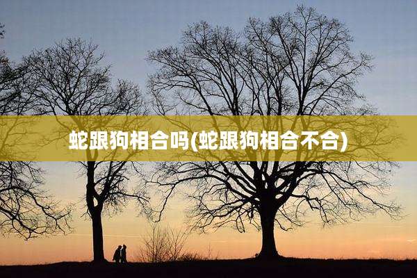蛇跟狗相合吗(蛇跟狗相合不合)