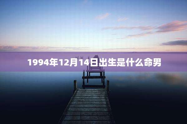 1994年12月14日出生是什么命男