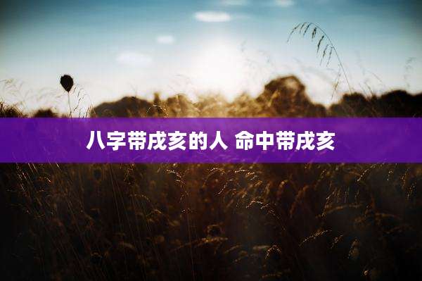 八字带戌亥的人 命中带戌亥
