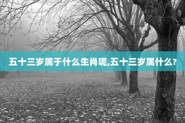 五十三岁属于什么生肖呢,五十三岁属什么?
