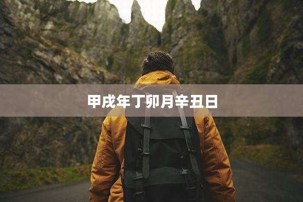甲戌年丁卯月辛丑日