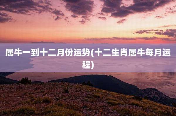 属牛一到十二月份运势(十二生肖属牛每月运程)
