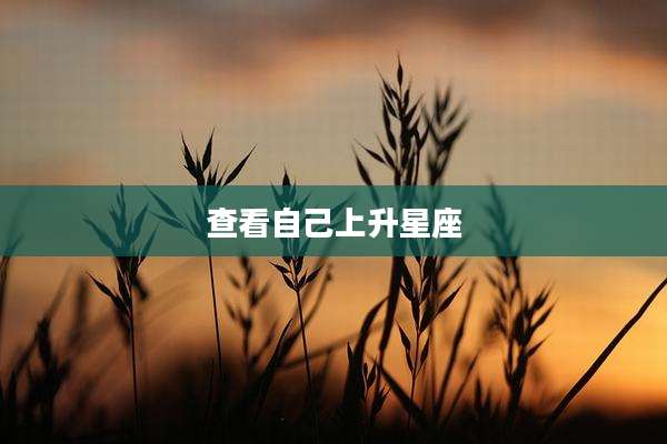 查看自己上升星座