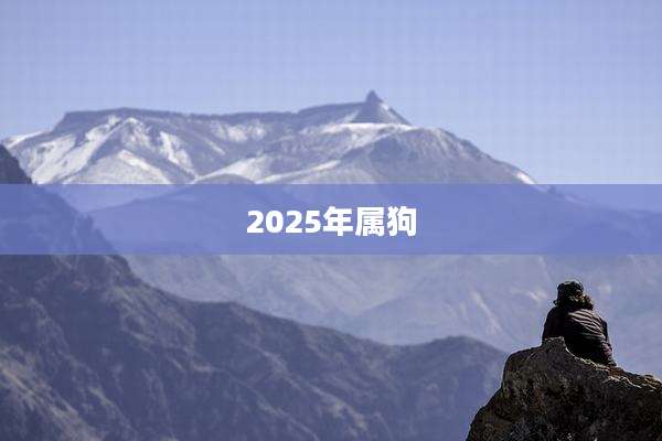 2025年属狗