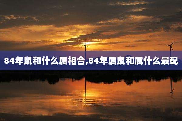 84年鼠和什么属相合,84年属鼠和属什么最配
