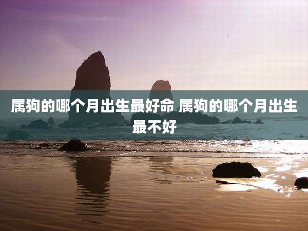 属狗的哪个月出生最好命 属狗的哪个月出生最不好