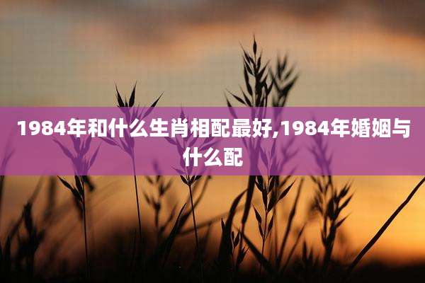 1984年和什么生肖相配最好,1984年婚姻与什么配