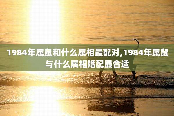 1984年属鼠和什么属相最配对,1984年属鼠与什么属相婚配最合适