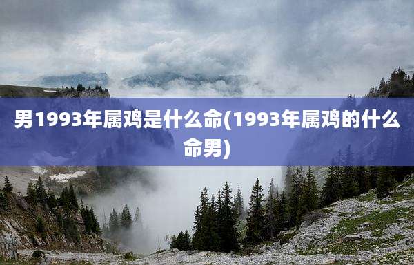 男1993年属鸡是什么命(1993年属鸡的什么命男)