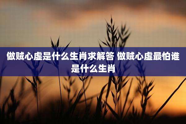 做贼心虚是什么生肖求解答 做贼心虚最怕谁是什么生肖