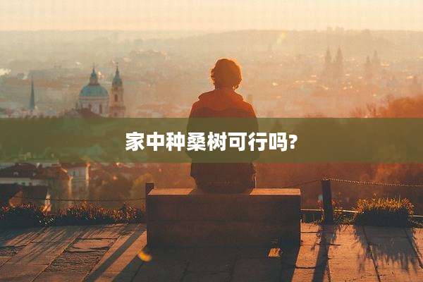 家中种桑树可行吗?