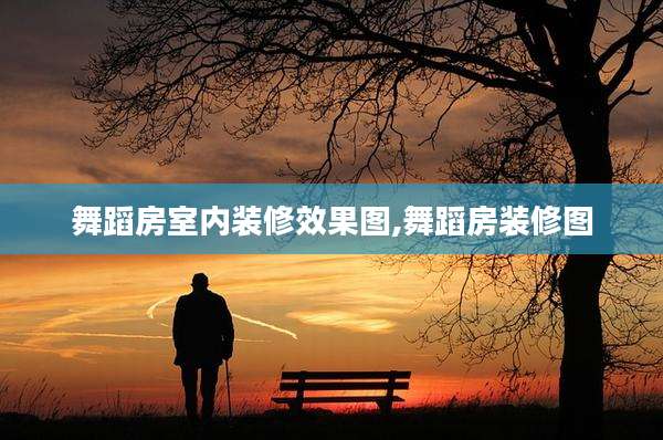 舞蹈房室内装修效果图,舞蹈房装修图