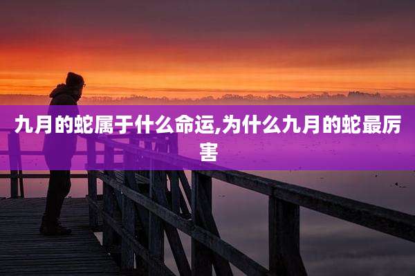 九月的蛇属于什么命运,为什么九月的蛇最厉害