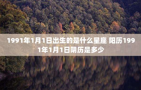 1991年1月1日出生的是什么星座 阳历1991年1月1日阴历是多少
