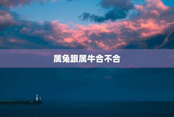 属兔跟属牛合不合