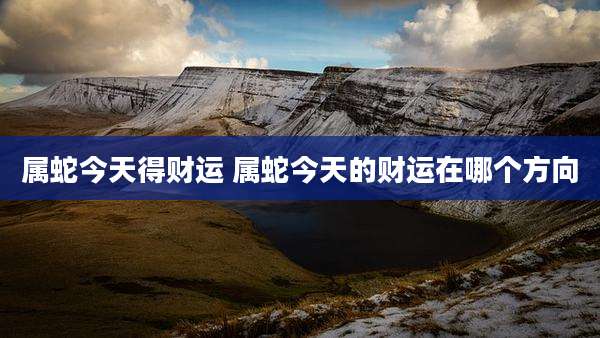 属蛇今天得财运 属蛇今天的财运在哪个方向