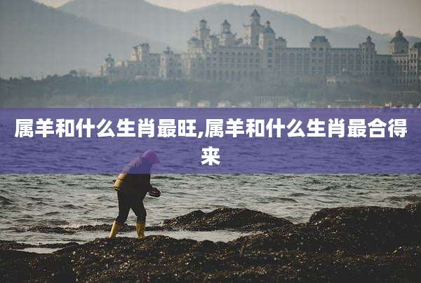 属羊和什么生肖最旺,属羊和什么生肖最合得来