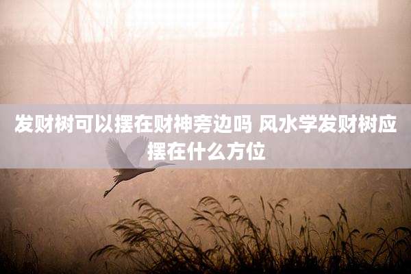 发财树可以摆在财神旁边吗 风水学发财树应摆在什么方位