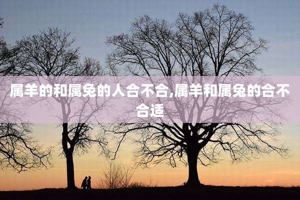 属羊的和属兔的人合不合,属羊和属兔的合不合适