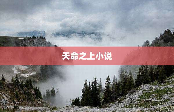 天命之上小说