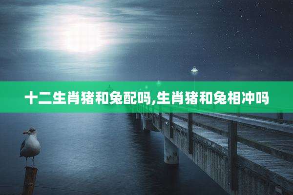 十二生肖猪和兔配吗,生肖猪和兔相冲吗