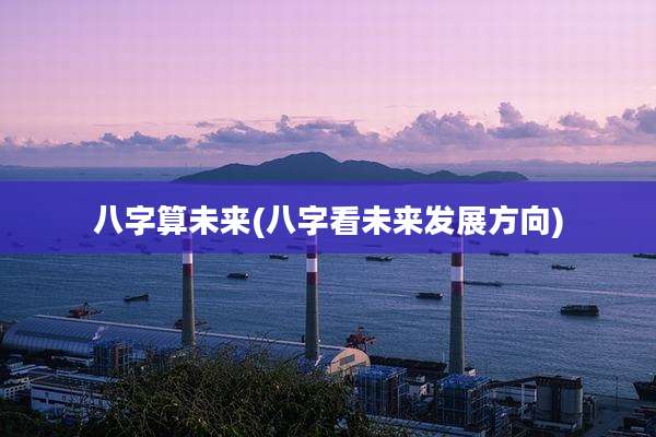 八字算未来(八字看未来发展方向)