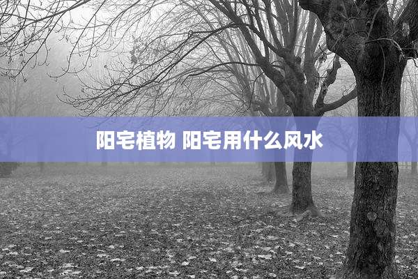 阳宅植物 阳宅用什么风水