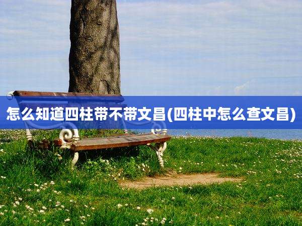 怎么知道四柱带不带文昌(四柱中怎么查文昌)