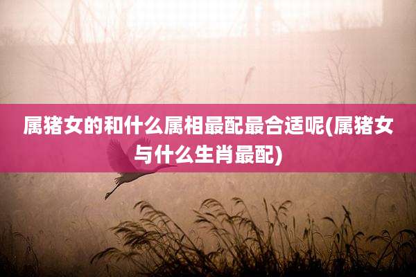 属猪女的和什么属相最配最合适呢(属猪女与什么生肖最配)