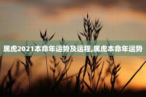 属虎2021本命年运势及运程,属虎本命年运势