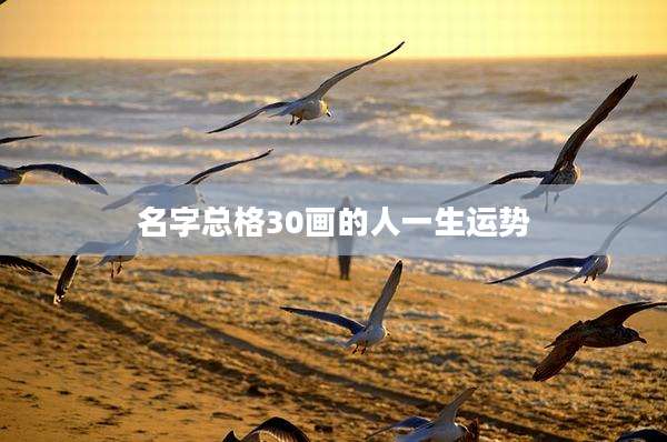 名字总格30画的人一生运势