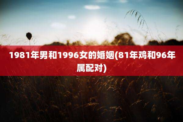 1981年男和1996女的婚姻(81年鸡和96年属配对)