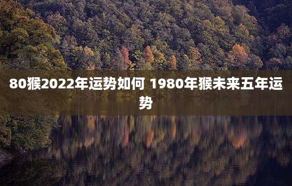 80猴2022年运势如何 1980年猴未来五年运势