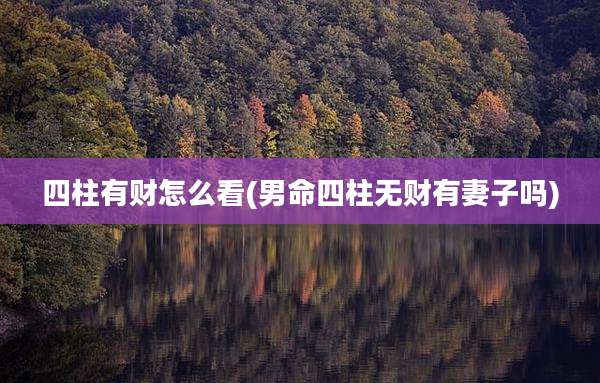四柱有财怎么看(男命四柱无财有妻子吗)