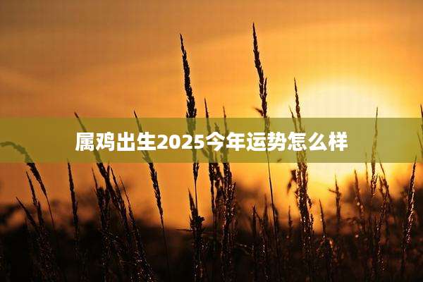 属鸡出生2025今年运势怎么样
