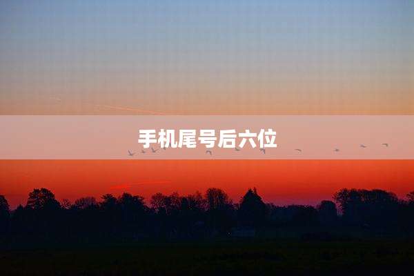 手机尾号后六位