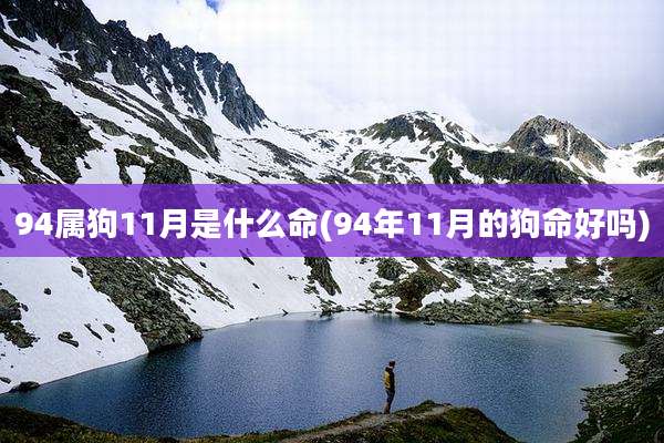 94属狗11月是什么命(94年11月的狗命好吗)