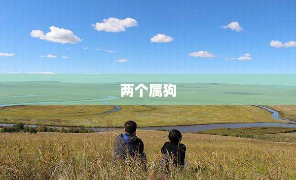 两个属狗