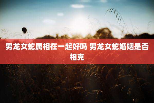 男龙女蛇属相在一起好吗 男龙女蛇婚姻是否相克