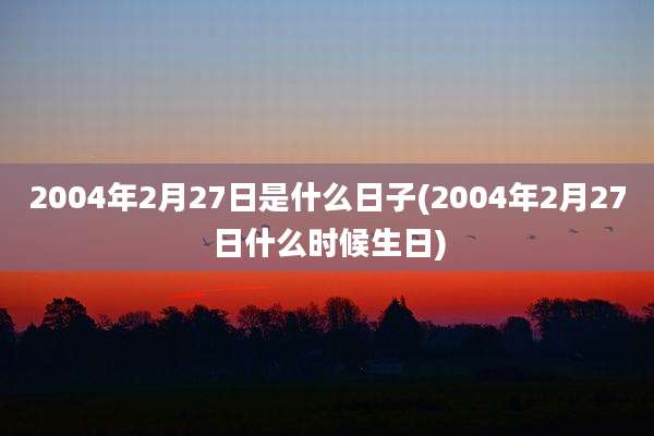 2004年2月27日是什么日子(2004年2月27日什么时候生日)