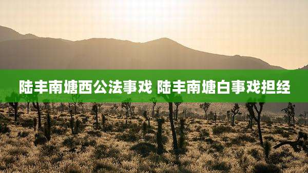 陆丰南塘西公法事戏 陆丰南塘白事戏担经