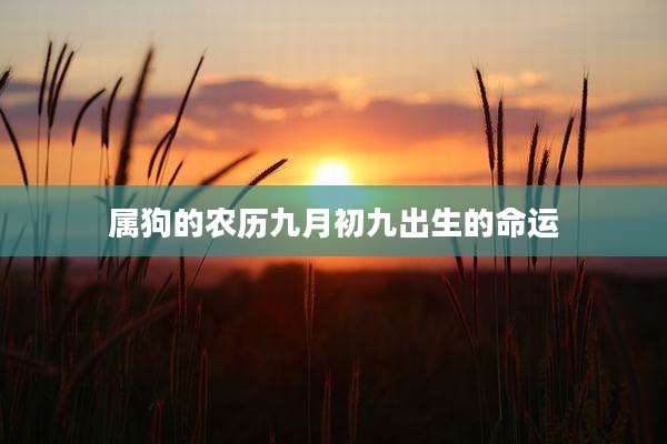 属狗的农历九月初九出生的命运