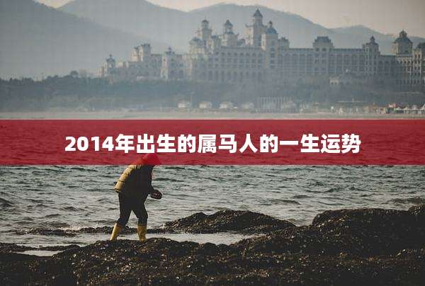 2014年出生的属马人的一生运势
