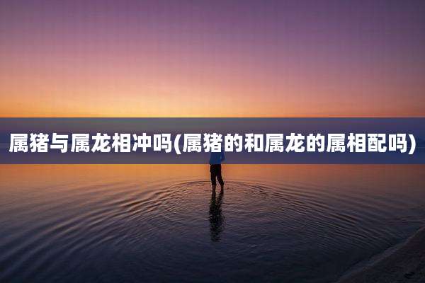 属猪与属龙相冲吗(属猪的和属龙的属相配吗)