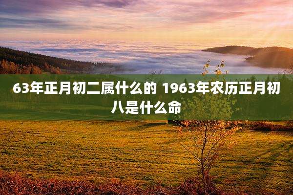 63年正月初二属什么的 1963年农历正月初八是什么命